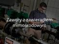 zawory z&nbsp;zawieradłem mimośrodowym